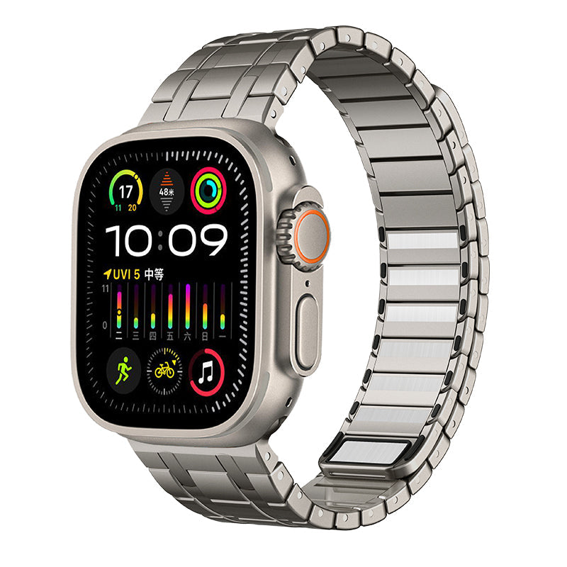 AP Frosted Stainless Steel Magnetic Apple Watch Band