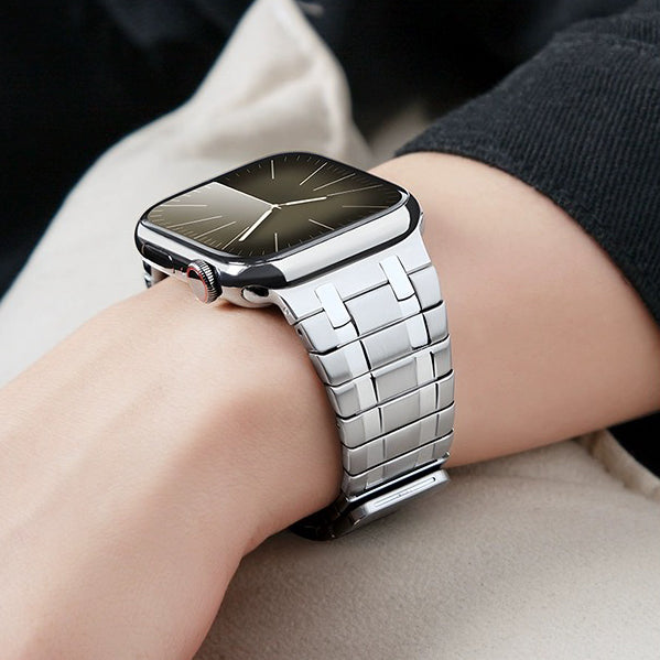 AP Frosted Stainless Steel Magnetic Apple Watch Band