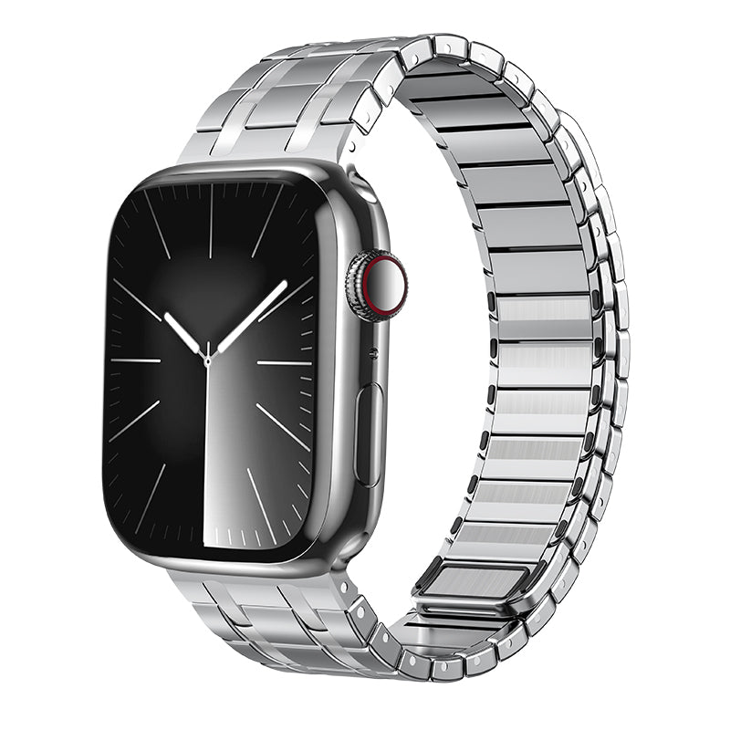 AP Frosted Stainless Steel Magnetic Apple Watch Band