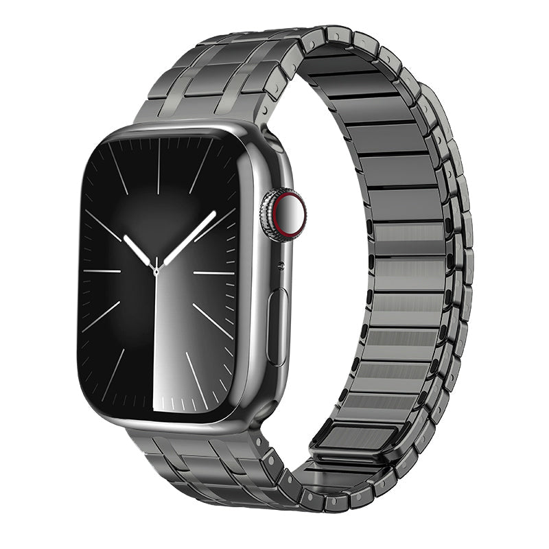 AP Frosted Stainless Steel Magnetic Apple Watch Band